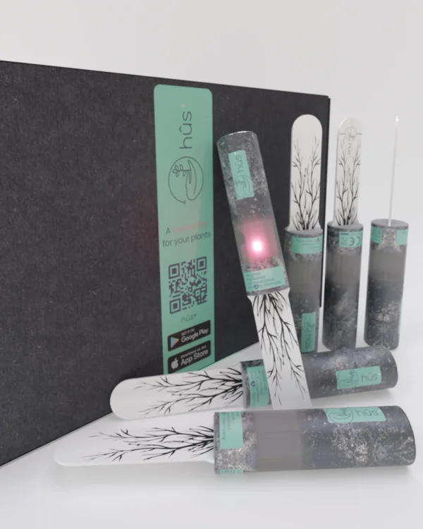 flower eco - Digitaler Gießanzeiger im 6er Pack – Bild 2
