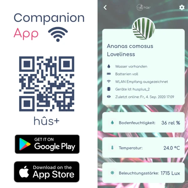 flower smart - WLAN Pflanzensensor im 3er Pack – Bild 4
